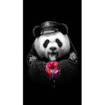panda- oop squad