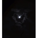 ~L ~