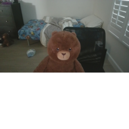 Bear Baseplate Chatroom