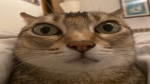 1 1 1 1 1 1 1 11