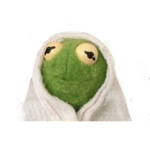 The Kermit’s