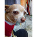 Carrillo