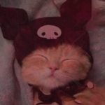 ULTIMATE CAT ARMY
