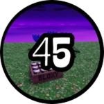 Secret 45