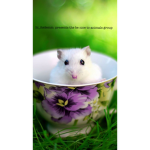 The be nice to aminals group.