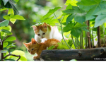 Nature Everybody loves nature