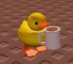 DUCK_DİYARI