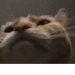 Wasa oh god dang man