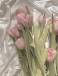 ʟᴏᴠᴇ’s ᴄʟᴏsᴇᴛ