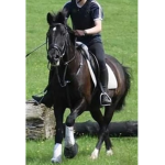 {-Citrine Stables-}