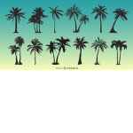 Pinapples And Palm Trees