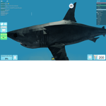 broken sharks studios