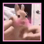 Dancing Bunnies By The River