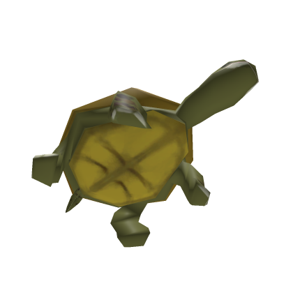 Twisted murder turtle pet!