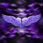 Angelic Devils Ltd