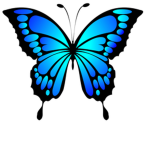 .NormalButterflys.