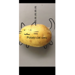 #POTATO SQUAD <3