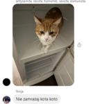 xdxdxd ###### ##### mam to w p******