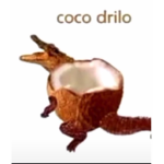 Grupo donde ustedes piden lo que quieran