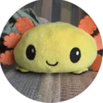 Yellow axolotl clan