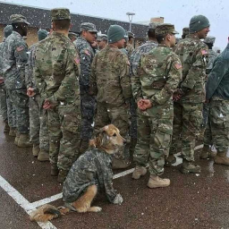 Doggos Army Hangout Place