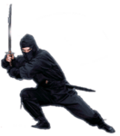 The Robloxian Ninja Group