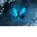 Diamond blue butterflies