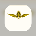 Argentina Aviation