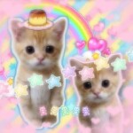 ⋆ ˚｡⋆ ୨୧˚ ⋆