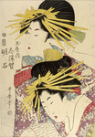 Aoyuri 蒼百合