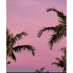 - vibes-