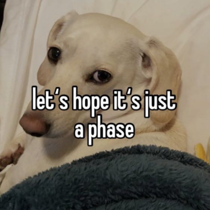 homophobic dog Roblox decal