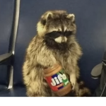 Hi I play roblox