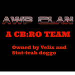 AWP Clan | CS:RO Team |