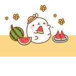 Watermelon fan group!