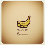 the borde turtle