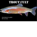 Trout Cult