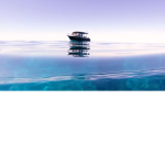 Join if u love/like roblox