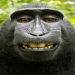 ХАХАХАХАХАХХАХАХАХАХАХАХА