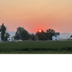 Sunrise to sunset