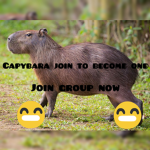 Capybara Army join to become one