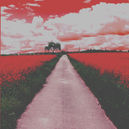 𝐈