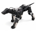 dogbot clan