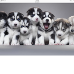 Husky pup fam