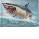 Shark_beam