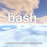 bash_