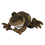 Toads Fan Club