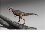 the lil raptor