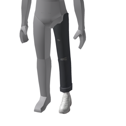 Asset 6445262286