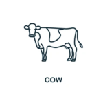 Mama moo group
